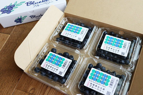 農薬不使用仙台市秋保産ブルーベリー合計480g/化粧箱冷蔵配送
